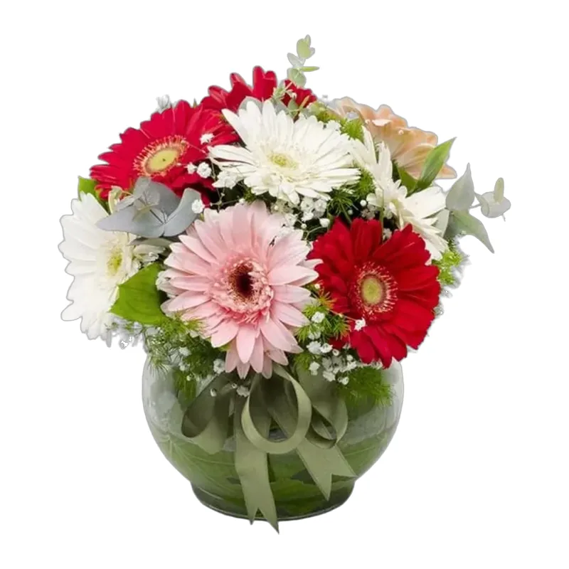 Fanusta Rengarenk Gerbera