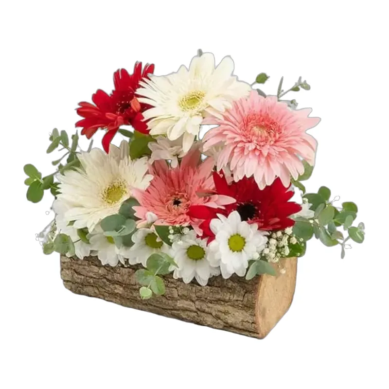 Kütükte Gerbera ve Papatyalar