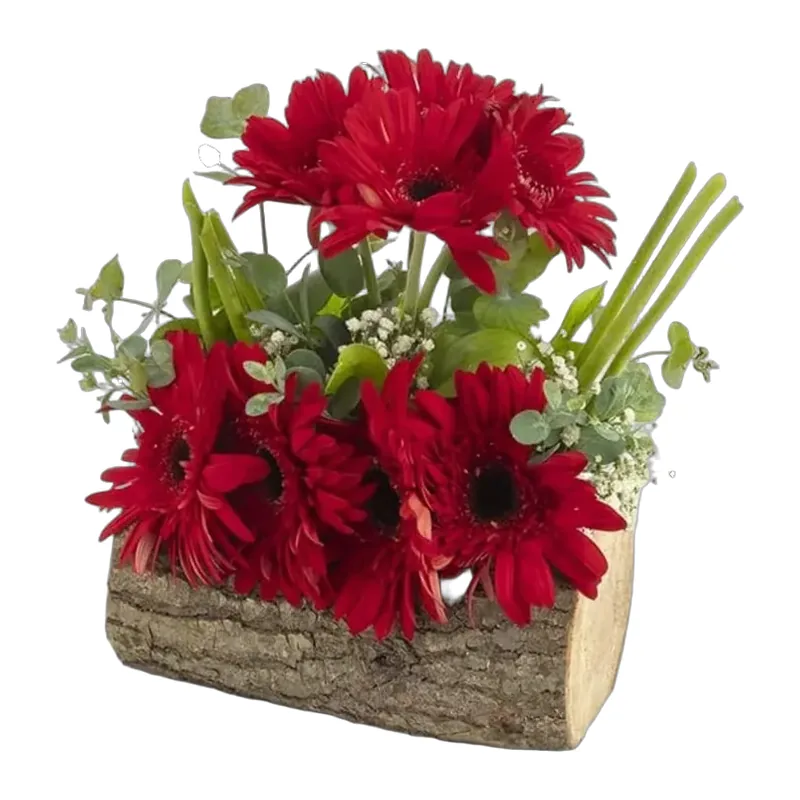 Doğal İşlenmemiş Kütük İçerisinde 8 Adet Kırmızı Gerbera