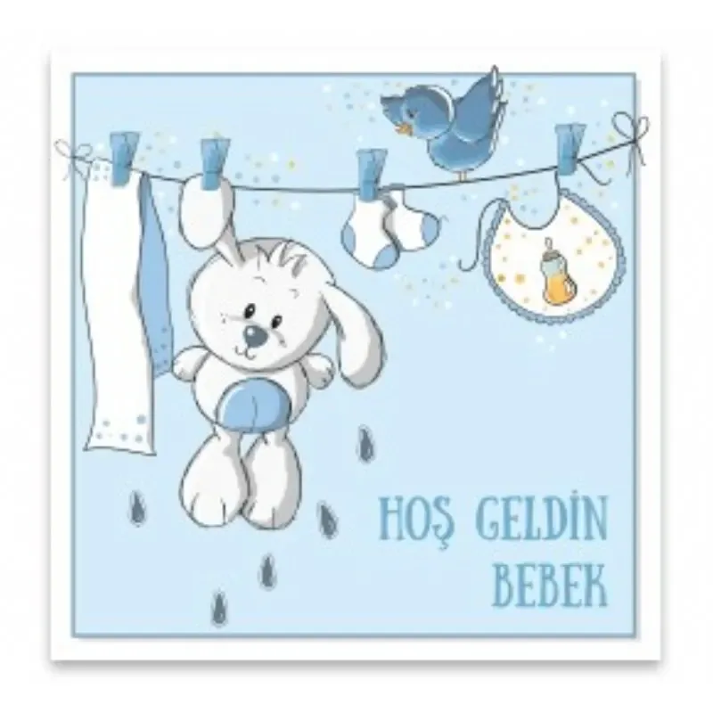 Hoş Geldin Erkek Bebek Gift Kart