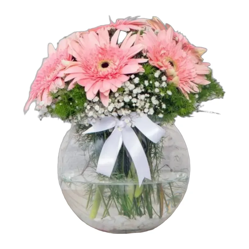Cam Fanusta Pembe Gerbera