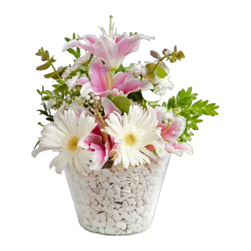 Konik Saksıda Pembe Lilyum Beyaz Gerbera