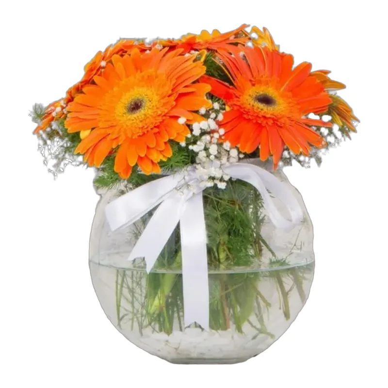 Cam Fanusta Turuncu Gerbera Aranjmanı