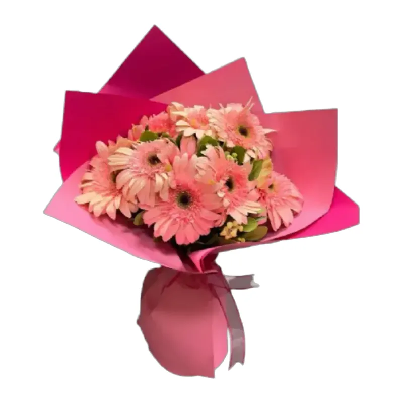 Pembe Gerbera Buketi